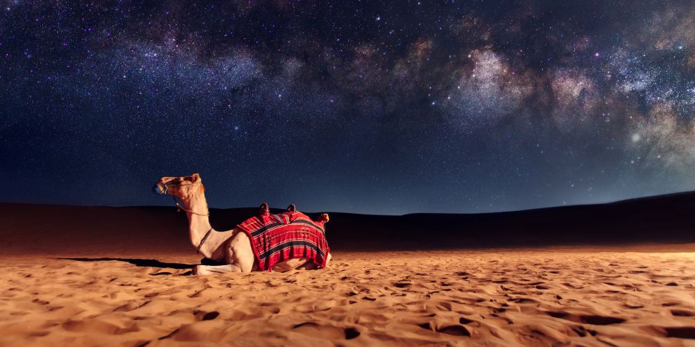 Zenith Travel Agency Launches New Luxury Desert Experiences
